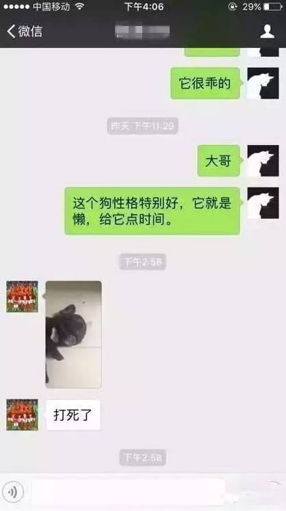 狗狗表现不乖打一顿就好了