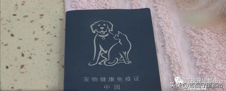 您家爱犬办证了吗手机小程序能办证啦