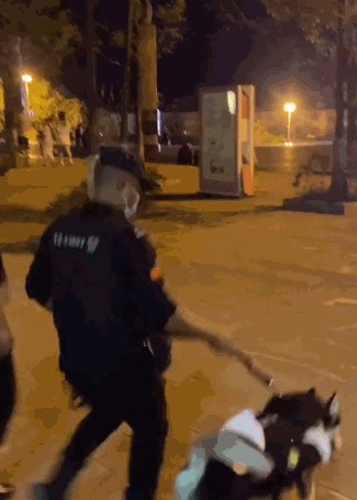 火爆全网的警犬哈士奇突然离世然而这里面的原因网友都气炸了